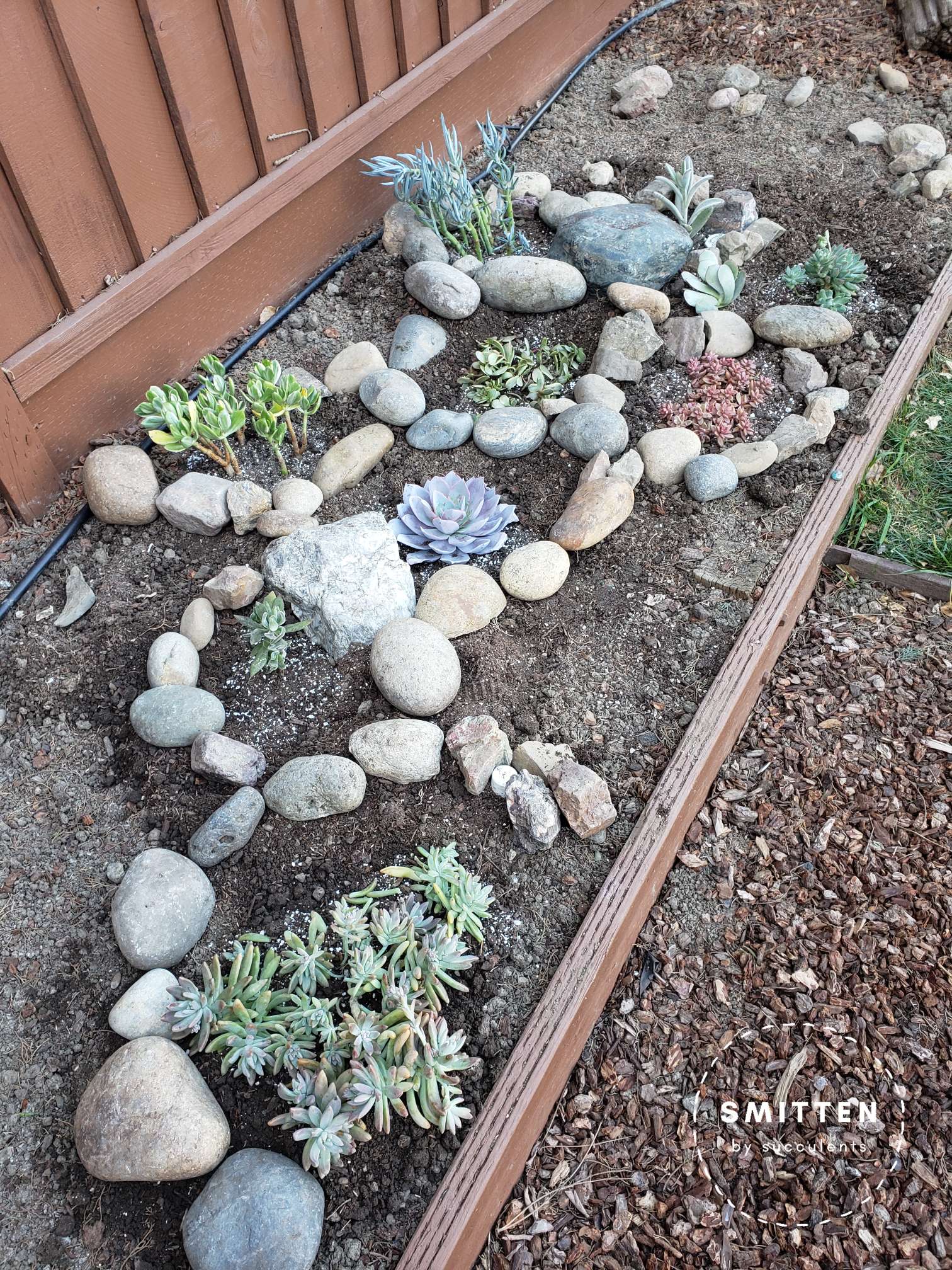 Garden bed with newly planted succulents and rocks