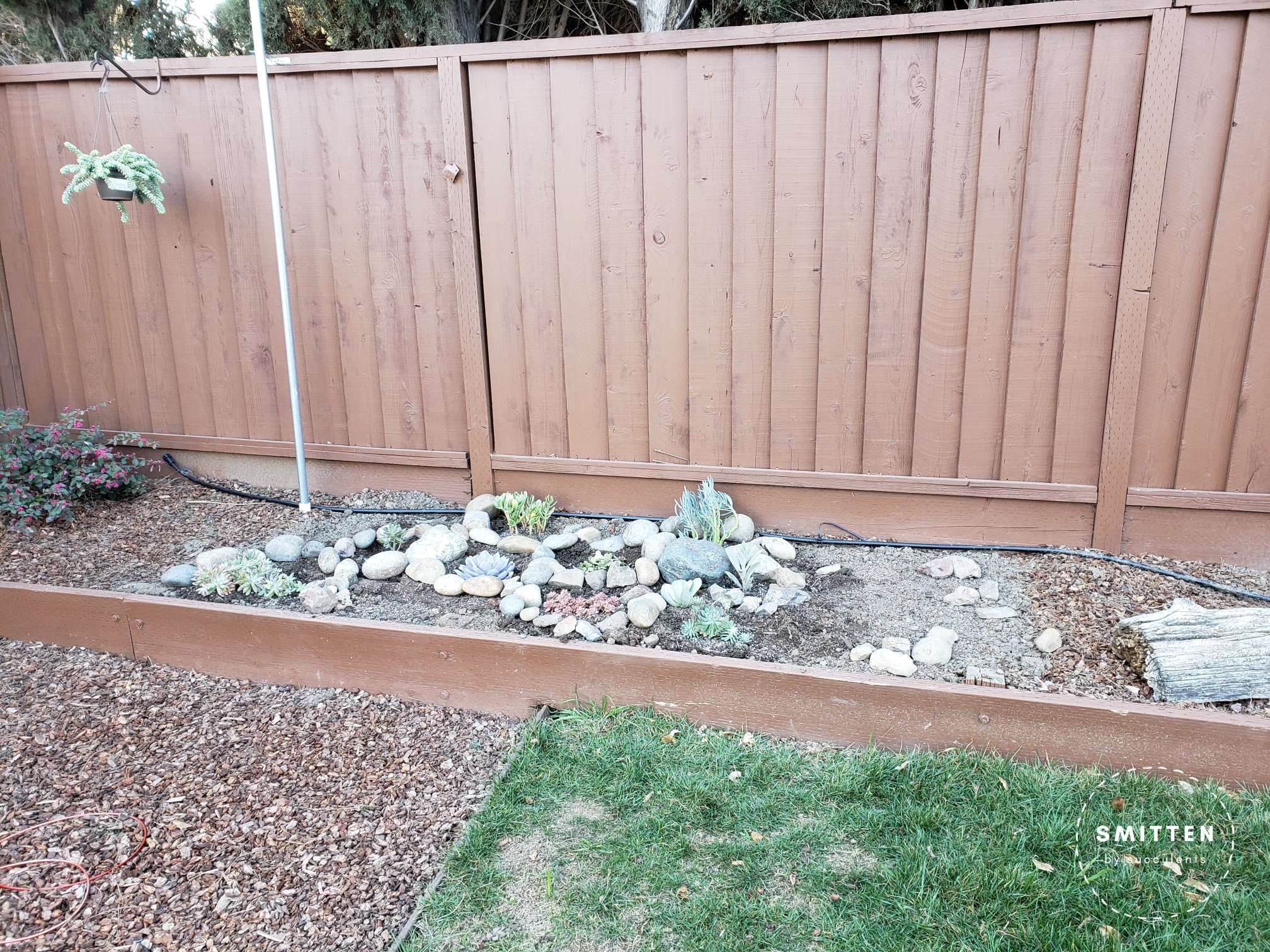 Garden bed with freshly planted succulents and decorative rocks